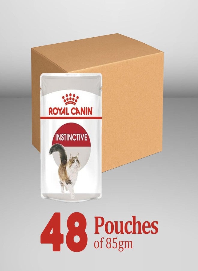 Royal Canin Adult Instinctive Wet Cat Food, Pack of 48 Pieces, Supports Immunity System & Digestion - Image 2